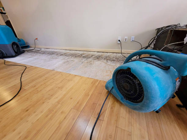 Professional Structural Drying technician working in Ralls, TX